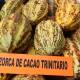 Oaxaca ve desde muy lejos a productores de chocolate