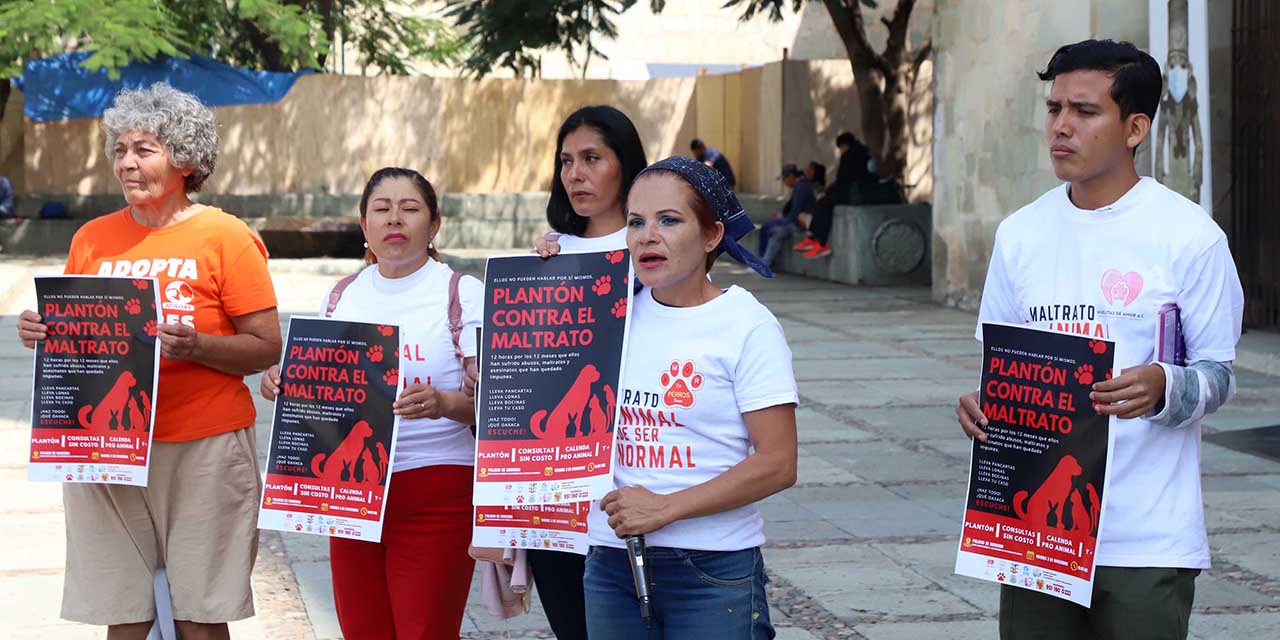 Activistas denuncian “carpetazo” ante casos de maltrato animal | El Imparcial de Oaxaca