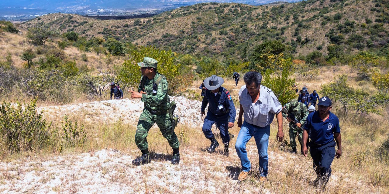 Foto: Roberto Guzmán Rojas // Elementos del Ejército Mexicano realizan recorridos de vigilancia en los bosques de San Andrés Zautla.
