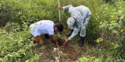 Personal militar lleva a cabo el programa “Planta un árbol”.