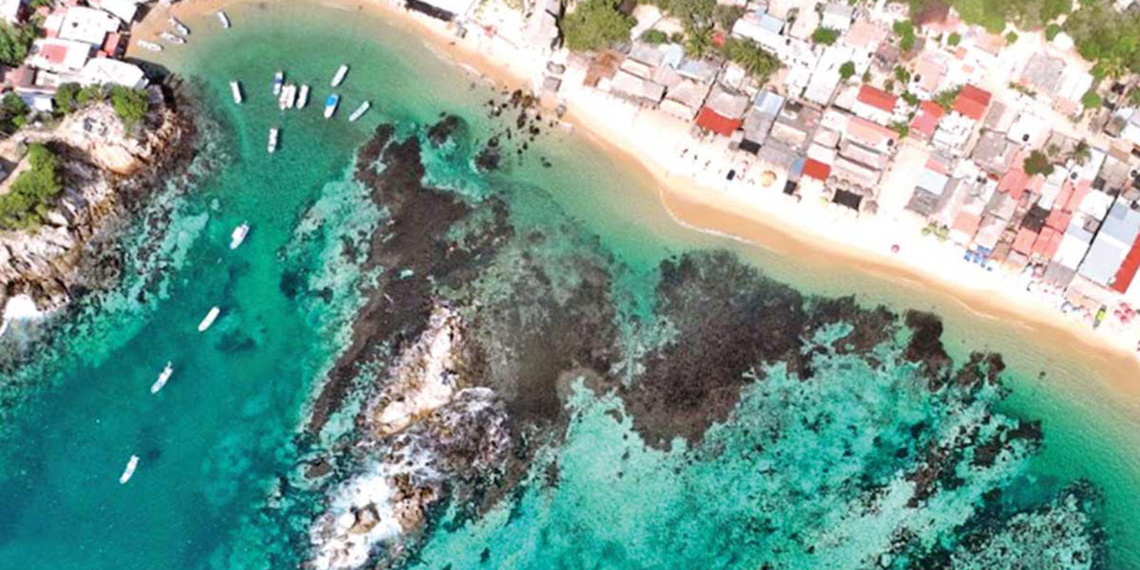 Muere coral de Huatulco; el 95% está afectado | El Imparcial de Oaxaca