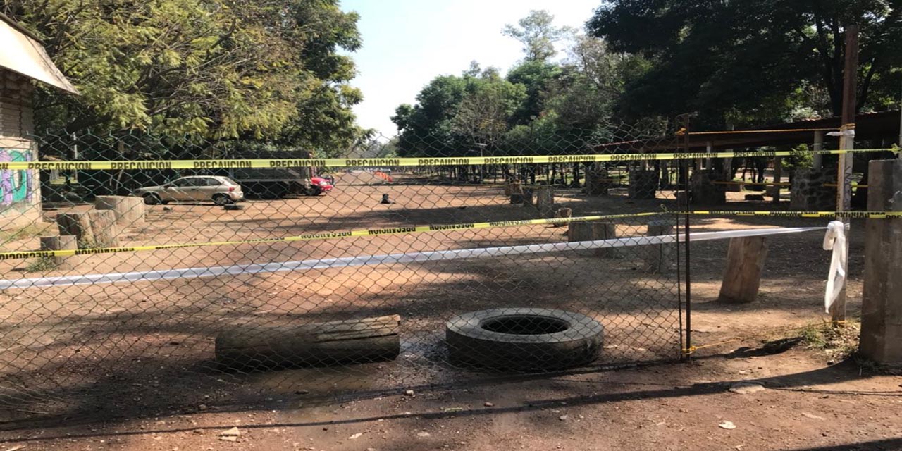 Van 20 casos de perros asesinados por presunto asesino serial en el Bosque de Nativitas | El Imparcial de Oaxaca
