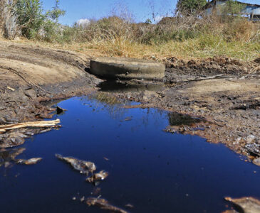 Urge ambientalistas a atender derrame de lixiviados en Zaachila