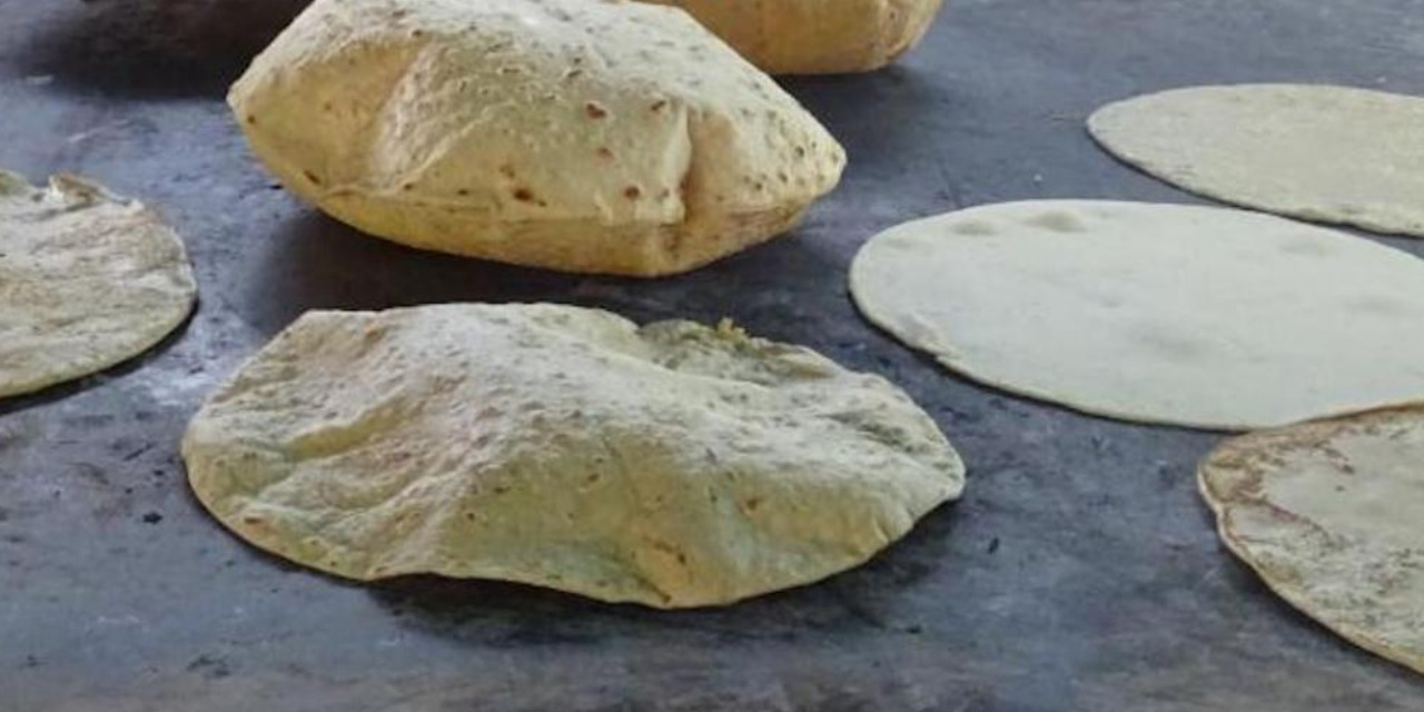 Tortilla de Maíz: Aliado en la prevención del cáncer, según Investigadores | El Imparcial de Oaxaca