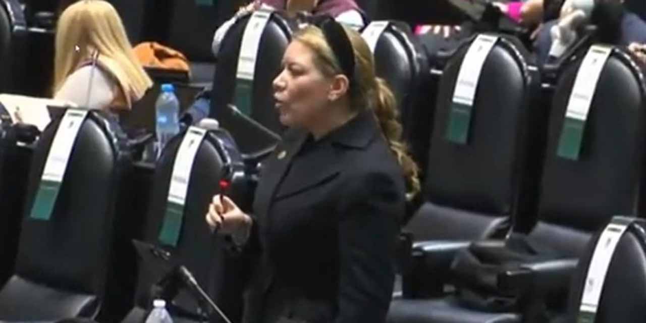 Diputada de Morena denuncia traición de su bancada al negar recursos para Guerrero | El Imparcial de Oaxaca