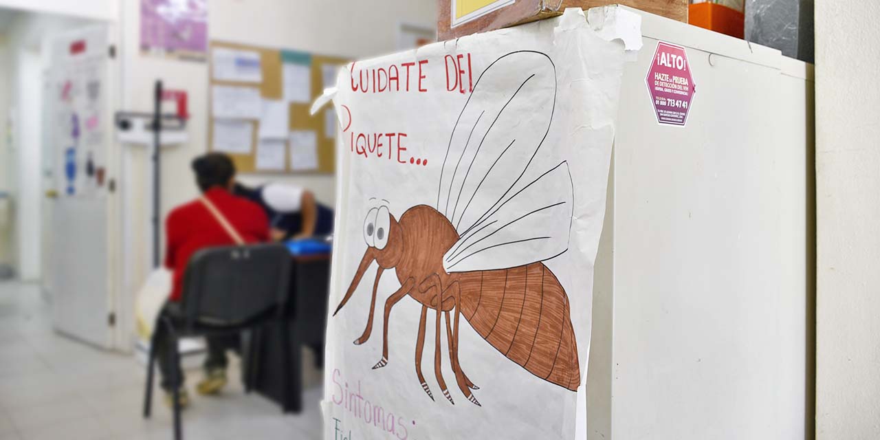 Foto: archivo // Circulan en Oaxaca los cuatro serotipos del mosquito transmisor de dengue
