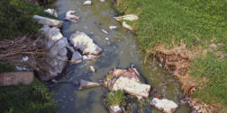 Foto: Archivo El Imparcial // Acumulación de basura en la rivera del Río Atoyac.