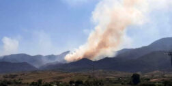 Foto: Archivo El Imparcial // Oaxaca cierra el año con 174 incendios forestales.