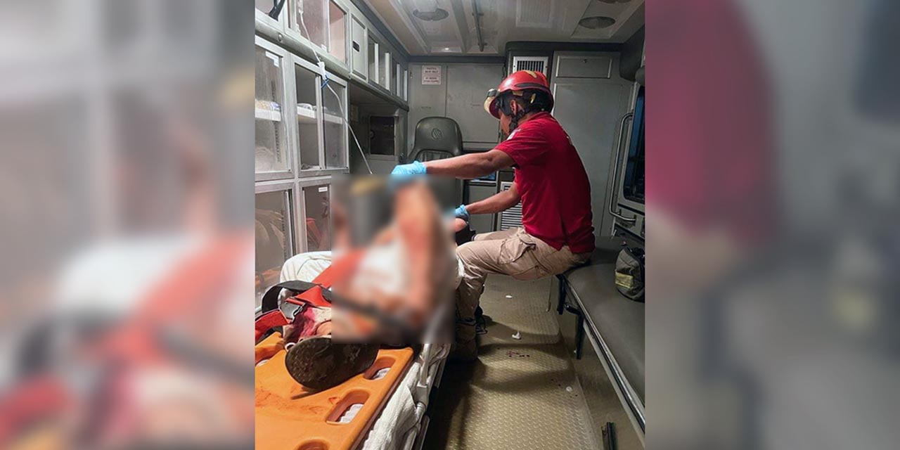 El chofer originario de Guerrero fue trasladado a un hospital en estado crítico.