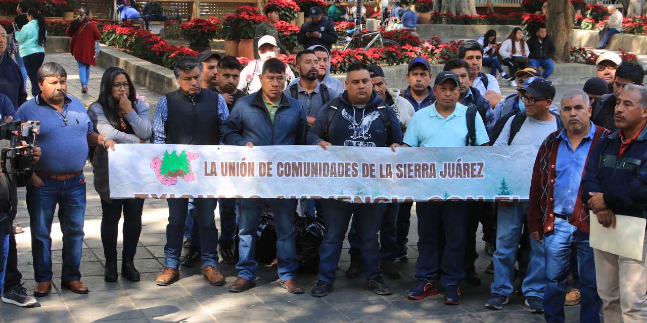 Foto: Adrián Gaytán // La Unión de Comunidades de la Sierra Juárez lamentaron la traición de los legisladores locales a los pueblos