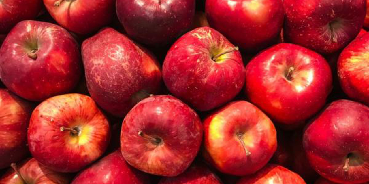 ¿Cómo comer manzana para reducir el colesterol? | El Imparcial de Oaxaca
