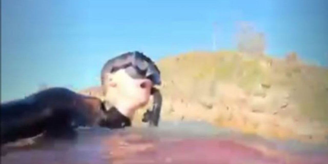 VIDEO: Graba sus momentos de agonía después de que tiburón le arrancara pierna