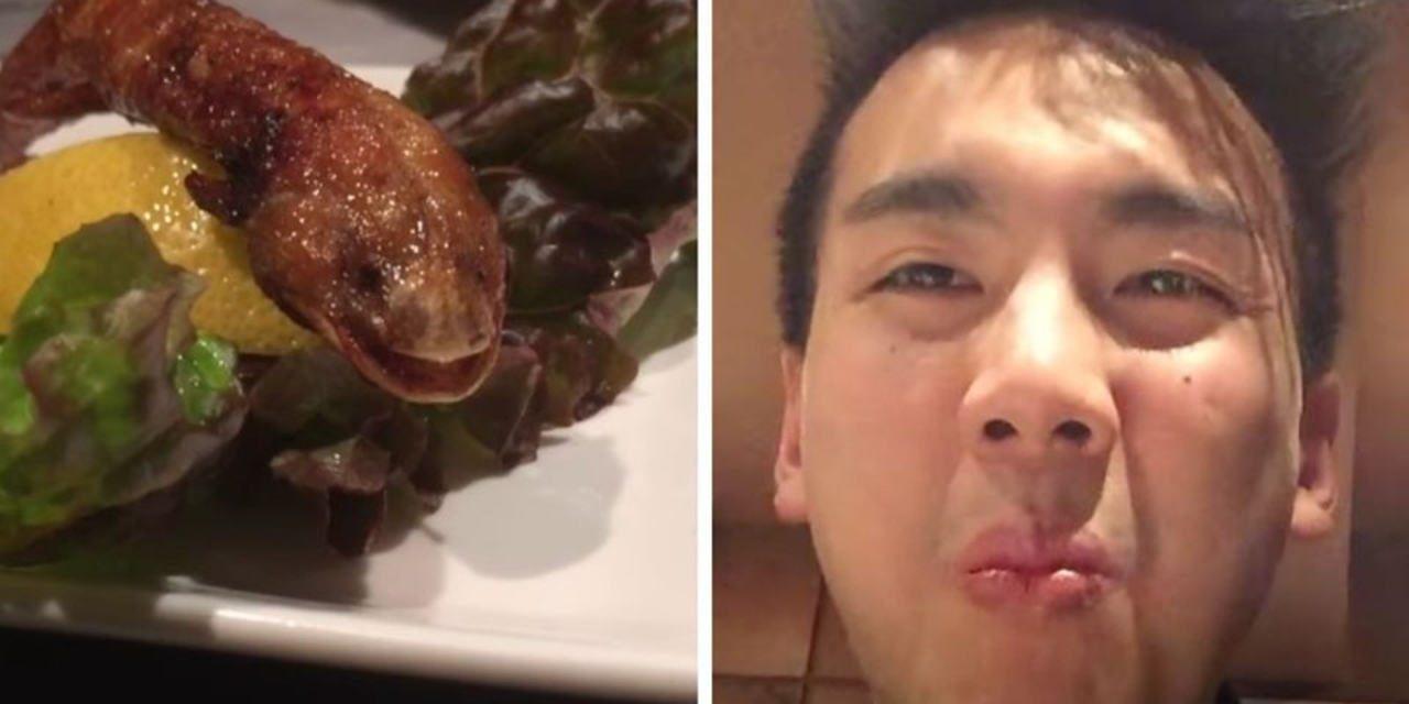 Video: Youtuber come ajolotes fritos en Japón y genera indignación