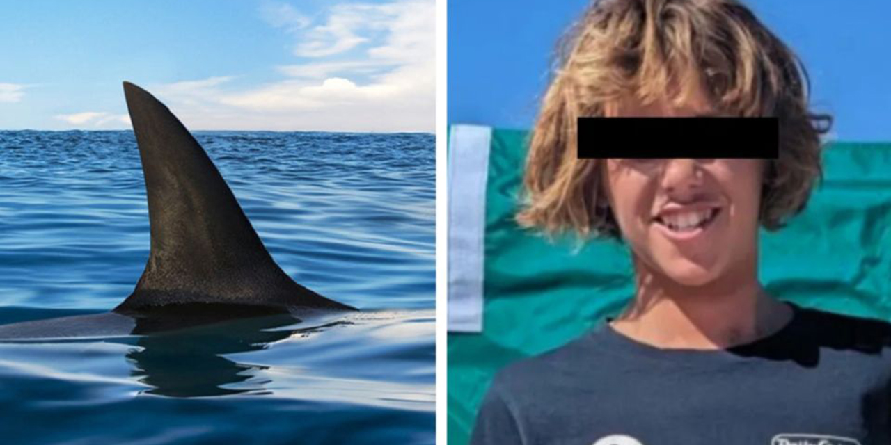 Trágico ataque de tiburón: adolescente de 15 años muere mientras surfeaba en Australia Meridional | El Imparcial de Oaxaca