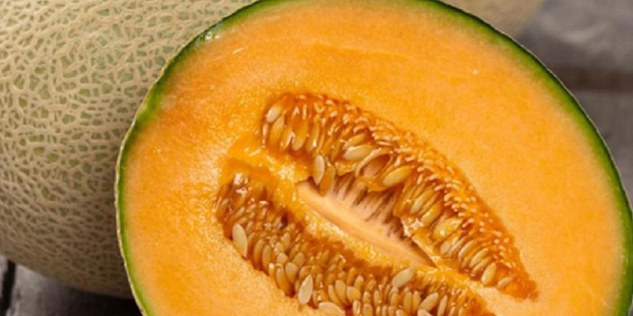 Alertan por brote de salmonela relacionado con melones mexicanos | El Imparcial de Oaxaca