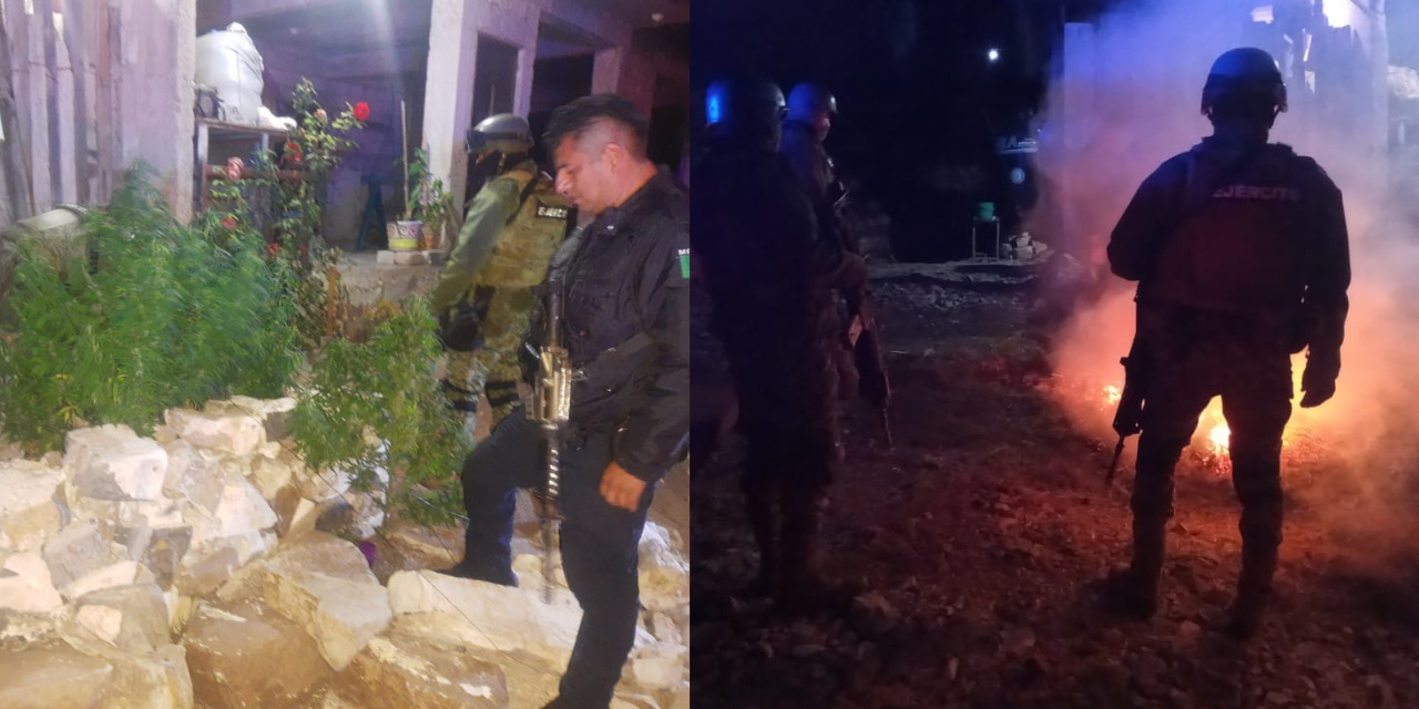 Queman plantas de marihuana en casa de Huajuapan