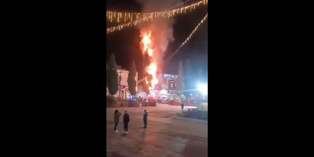 VIDEO: Muchitos con ‘cuetitos’ queman emblemático pino de Tlaxiaco   | El Imparcial de Oaxaca