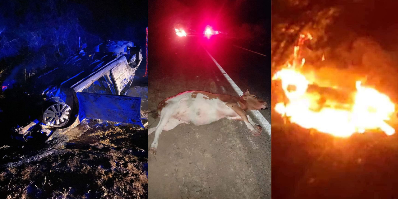 Auto vuelca y arde en llamas tras colisionar con una vaca | El Imparcial de Oaxaca