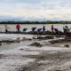 Desazolvan entradas de lagunas en Juchitán  