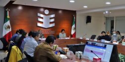 Foto: IEEPCO // Presentan protocolo de consulta para personas con discapacidad para las elecciones en Oaxaca