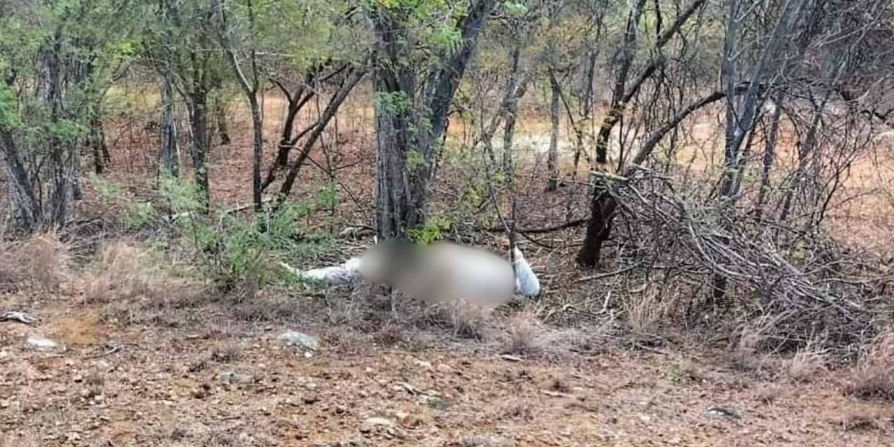 ¡Horroroso! Descubren cadáver putrefacto por autopista al Istmo | El Imparcial de Oaxaca