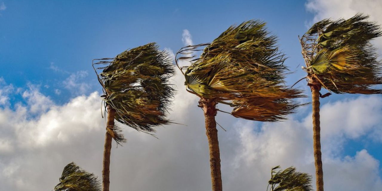 Pegan vientos intensos en La Venta y La Ventosa | El Imparcial de Oaxaca