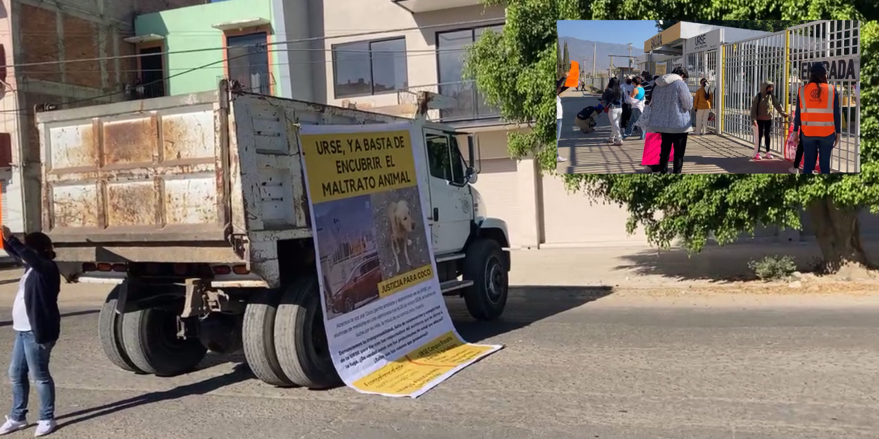 Protesta en la URSE por justicia para perrito Coco | El Imparcial de Oaxaca