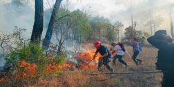 La autoridad municipal reportó que en esta temporada los incendios han incrementado en más de un 30%.