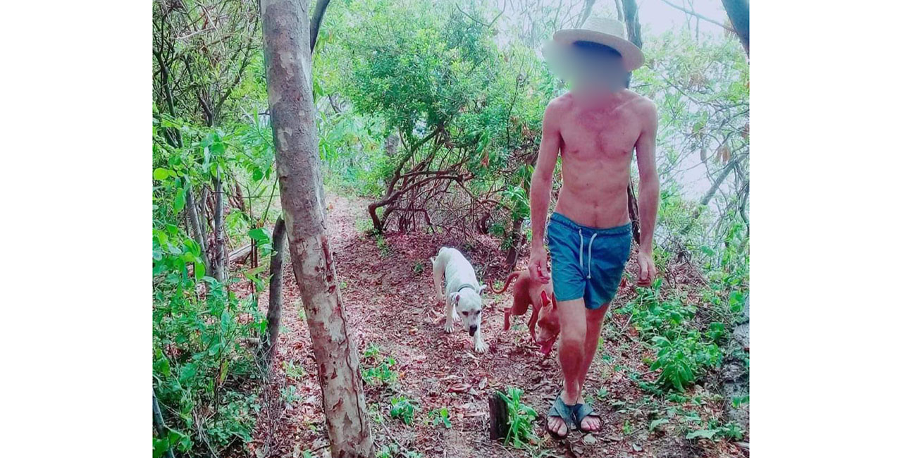 Perros que atacaron a niño fueron sacrificados en Pochutla | El Imparcial de Oaxaca