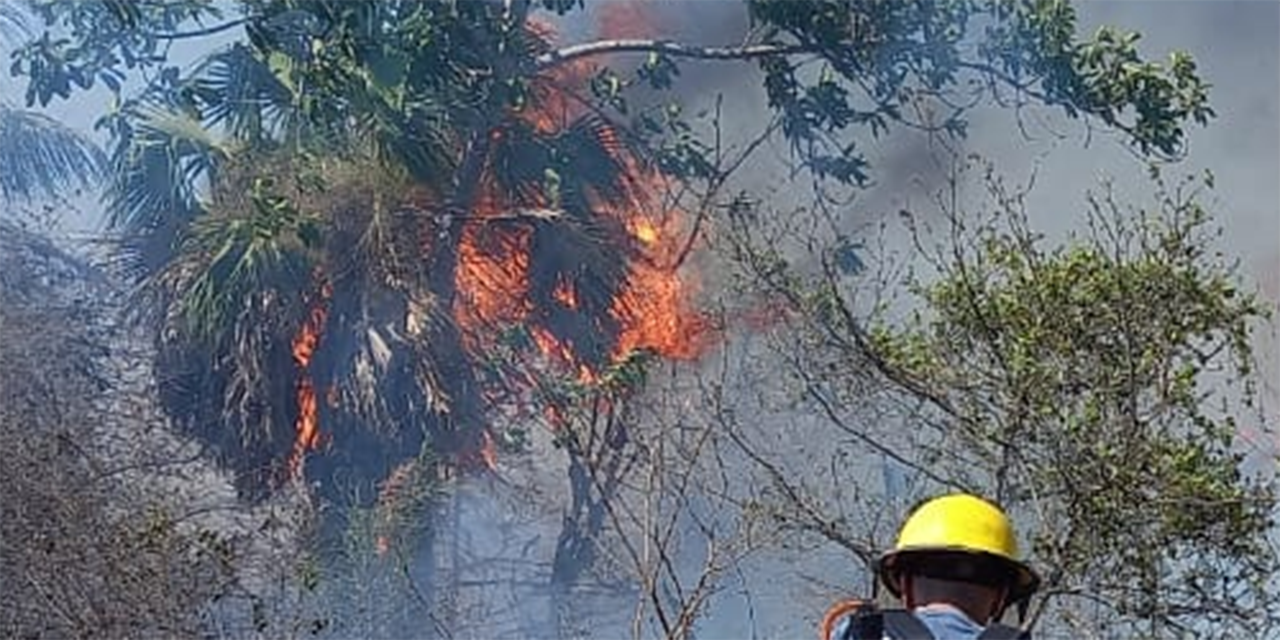 Vientos avivaron  fuego en pastizales  por quema de basura | El Imparcial de Oaxaca