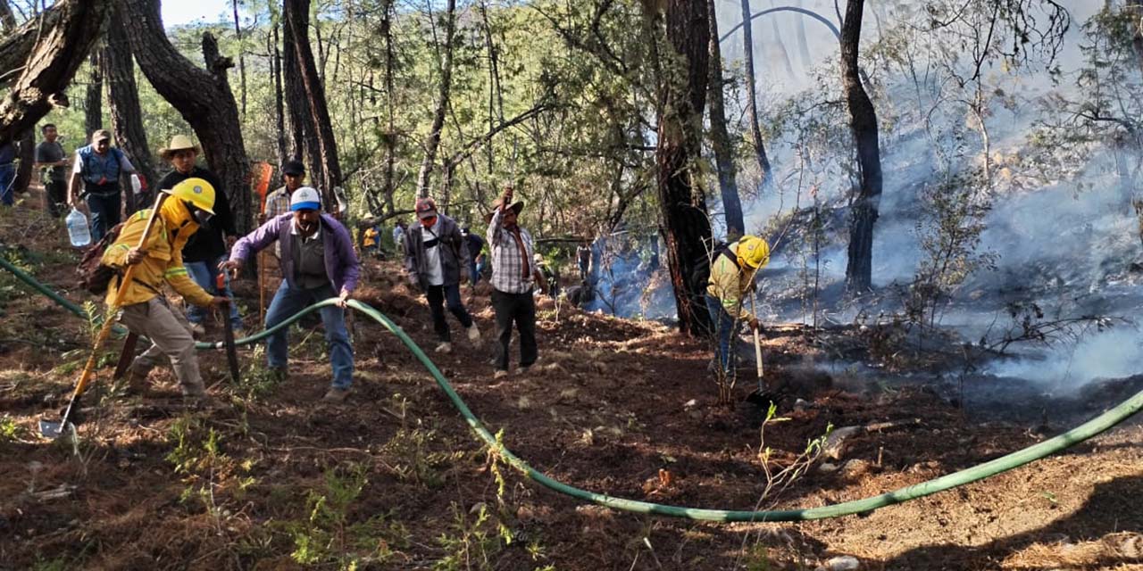 Activos ocho incendios forestales, reconoce el gobierno de Oaxaca