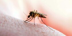 Foto: internet // Aumentan casos de dengue grave y con signos de alarma.