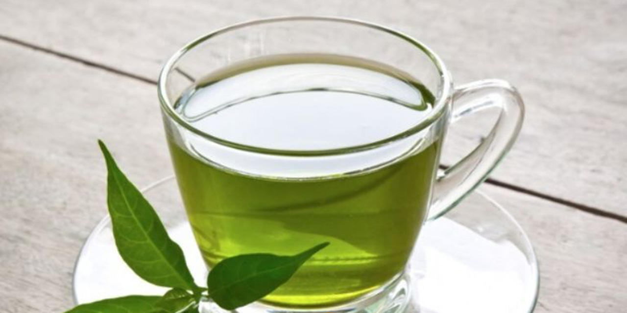 Beneficios del té verde: la infusión más saludable del planeta | El Imparcial de Oaxaca