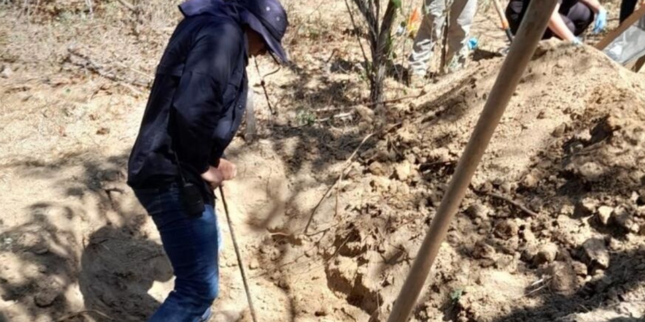 Encuentran fosa clandestina en Los Cabos, Baja California | El Imparcial de Oaxaca