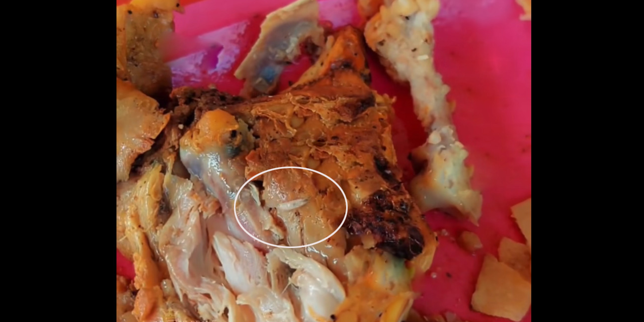 Descubren gusanos en el pollo que degustaban en Juchitán | El Imparcial de Oaxaca