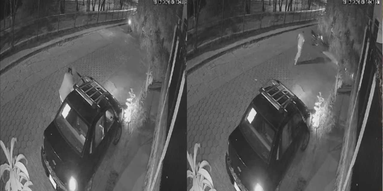 VIDEO: ‘Ratas’ principiantes huyen al activar la alarma de auto | El Imparcial de Oaxaca
