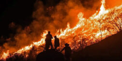 Foto: internet // A nivel nacional, los incendios han afectado a 13 mil 262 hectáreas.