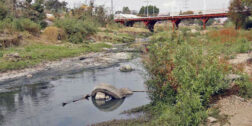 Foto: Archivo El Imparcial // Urgen sanear los ríos de Oaxaca.