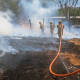 Incendio forestal moviliza a Bomberos de Huajuapan