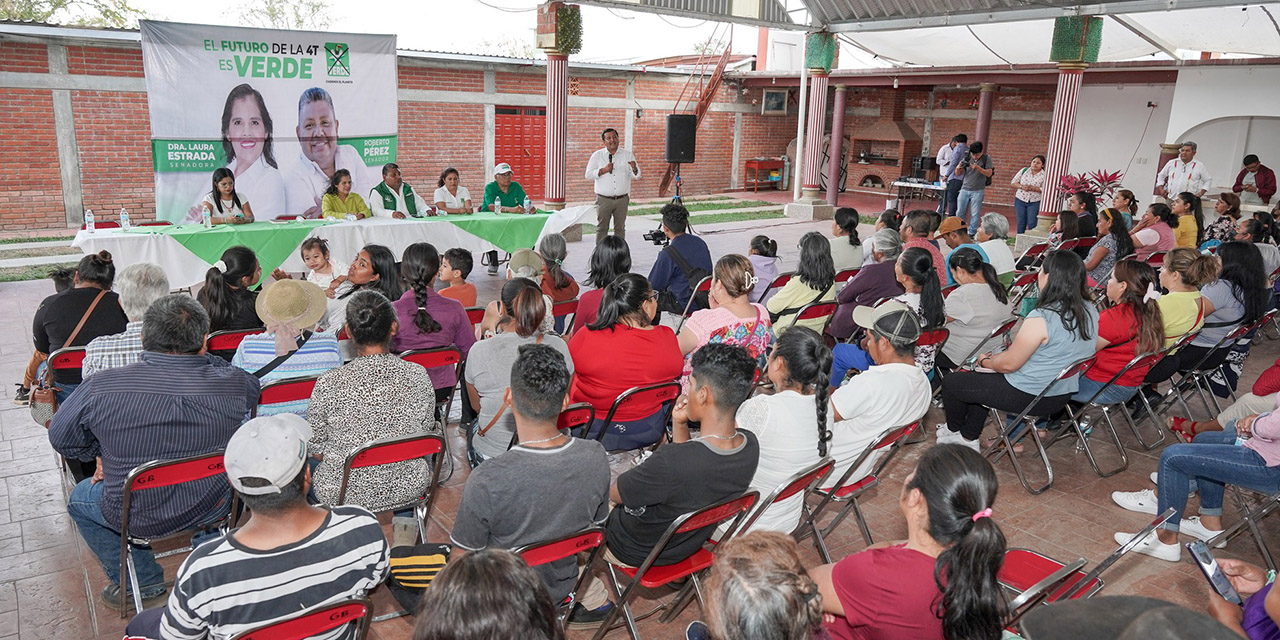 Engrosan morenistas listas de partidos bonsai y satélites | El Imparcial de Oaxaca