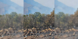 Foto: cortesía // El incendio en Quiaviní ha afectado al menos 704 hectáreas de bosques.