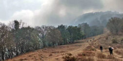 Foto: cortesía // El incendio arrasó con 709 hectáreas de vegetación.