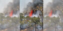 El daño causado por el incendio en Chilixtlahuaca se cuantifica en 400 hectáreas hasta ahora.