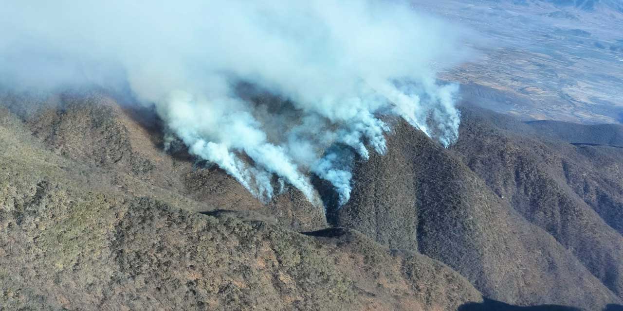 Incendio forestal ha consumido 700 hectáreas en Quiaviní | El Imparcial de Oaxaca