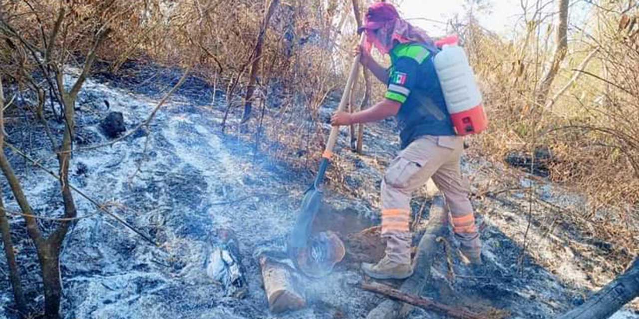 Liquidan incendio en Mazunte, Tonameca | El Imparcial de Oaxaca