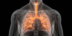Las enfermedades respiratorias han dejado una huella colectiva a nivel respiratorio.