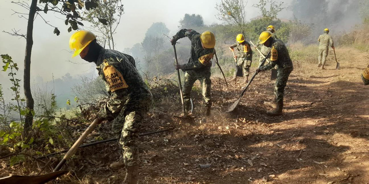 Foto: Protección Civil // Labor de cortafuego para evitar que se extienda un incendio forestal.