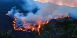 Foto: cortesía // Incendio forestal en Santa María Pápalo, municipio de la sierra de Cuicatlán, sigue avanzando sin control.