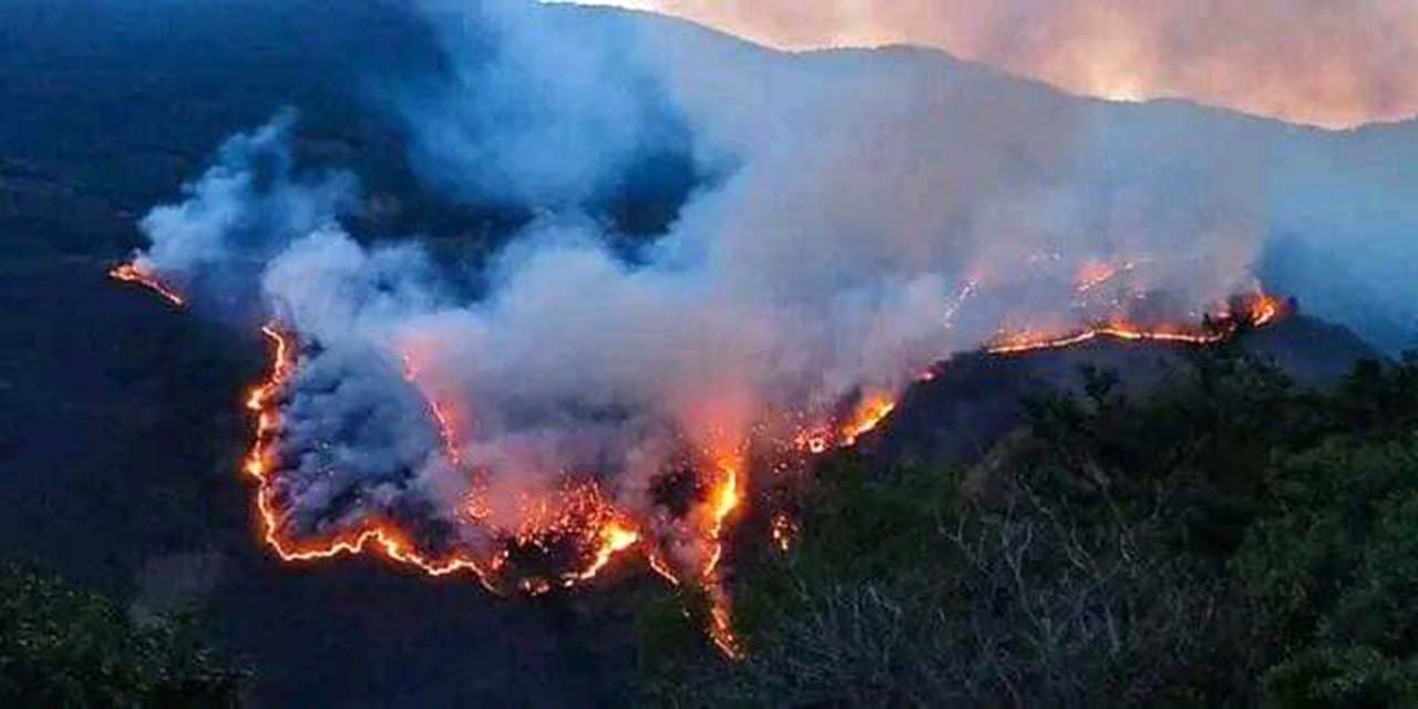 Foto: cortesía // Incendio forestal en Santa María Pápalo, municipio de la sierra de Cuicatlán, sigue avanzando sin control.