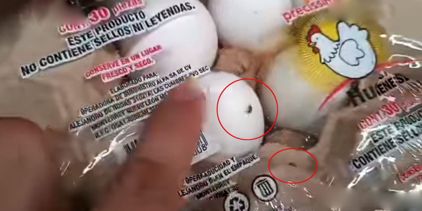 Encuentran cucarachas en cono de huevos de Soriana Juchitán | El Imparcial de Oaxaca